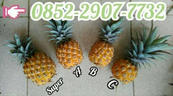 Nanas Madu