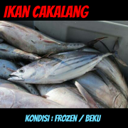 JUAL IKAN CAKALANG (JABODETABEK)