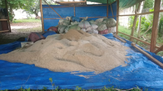 ampas kelapa