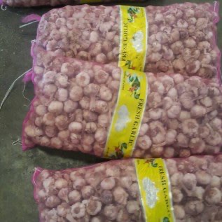 JUAL BAWANG PUTIH