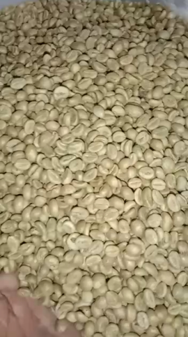 kopi robusata great 1 petik merah