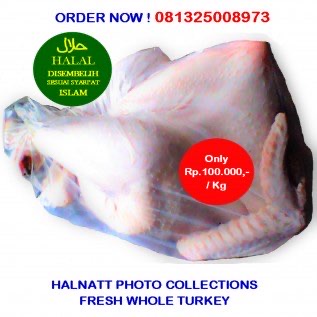 Daging Kalkun HALNATT HALAL Utuh Segar Atau Fresh Whole Turkey 6 Kg