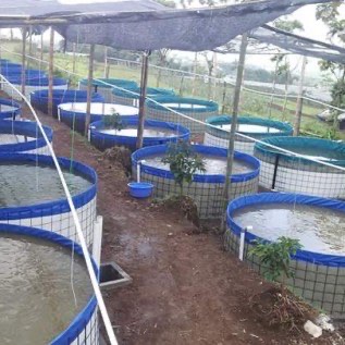 KOLAM TERPAL BULAT 