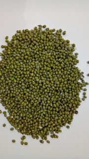 jual kacang hijau