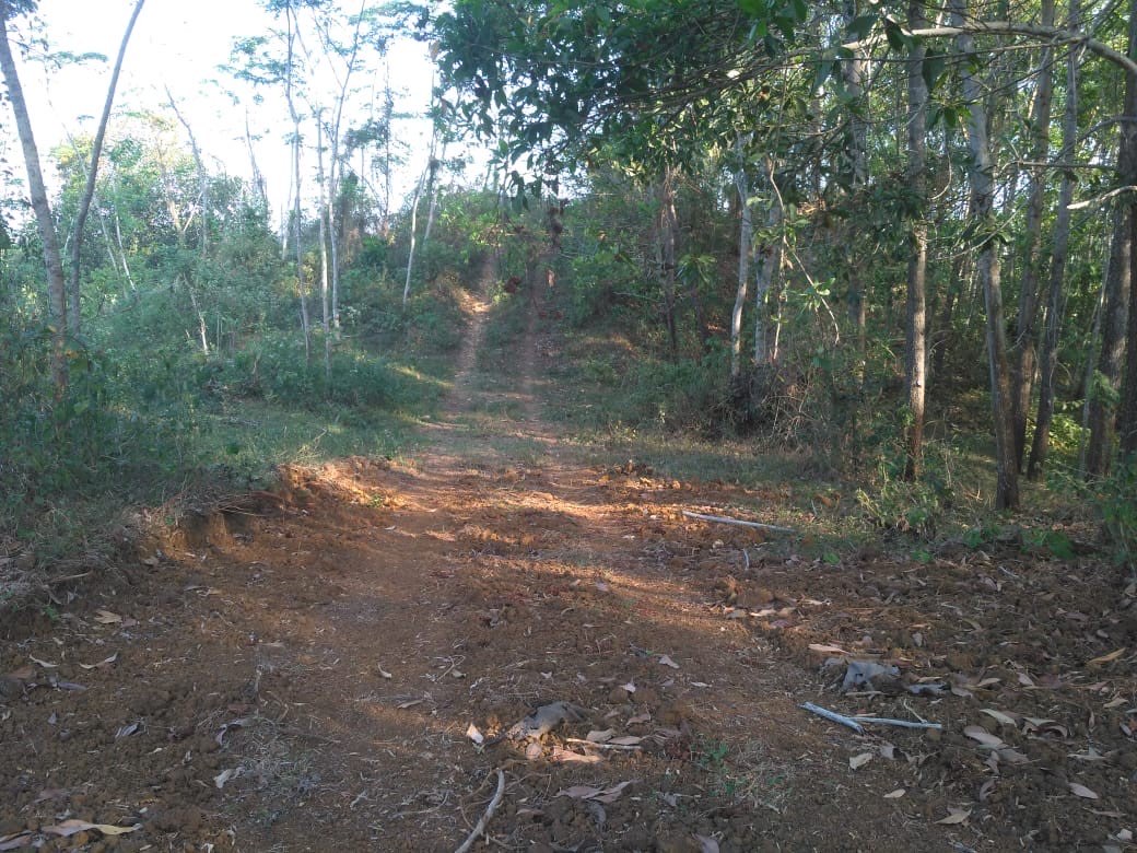 Lahan perkebunan dan peternakan 