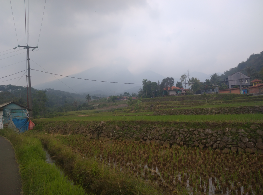 Lahan pertanian