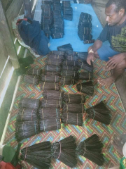 jual vanili jenis tahiiti