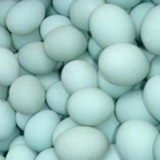 Jual Telur Asin matang/mentah