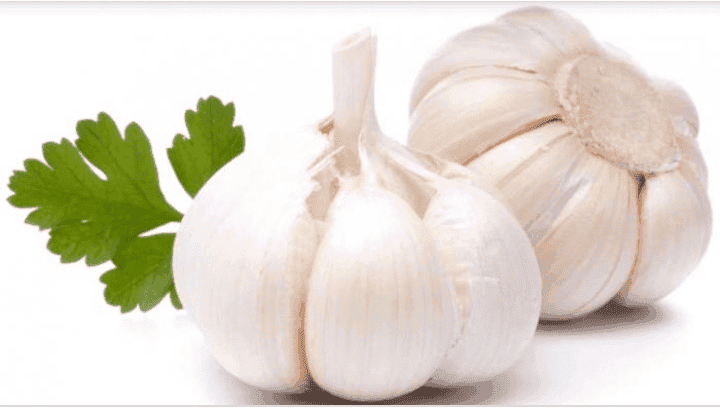 Bawang Putih Biasa Kotor