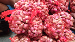 bawang merah asli brebes