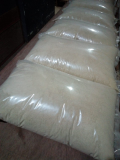bawang putih / garlic powder