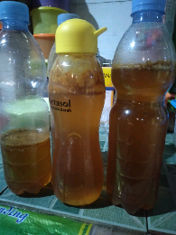 madu asli Kalimantan