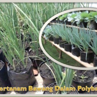 Produsen Polybag