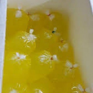 JUAL PUTIH TELUR AYAM FRESH & FROZEN