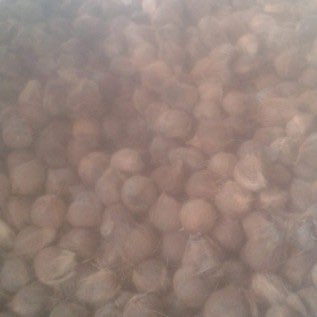 Siap Supply Kelapa Tua Grade A