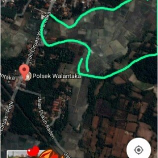 Jual lahan 35 hektar pesawahan