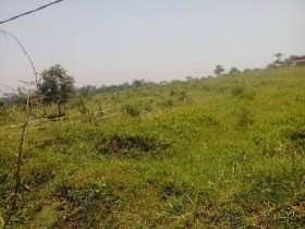 Jual Lahan Sawit 8870 Ha