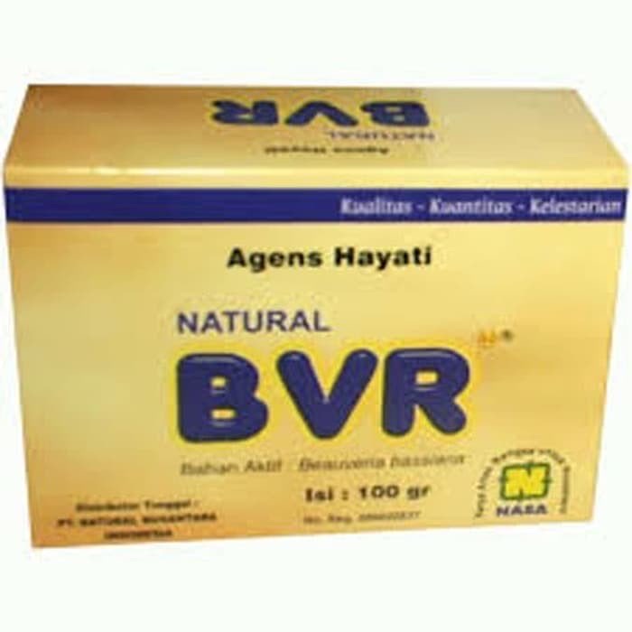 Pengendali Hama BVR BEUVERIA BASSIANA ASLI dan Murah