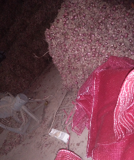 Bawang merah stok banyak 1-4 ton