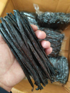 Vanilli Kering grade gourmet grade A