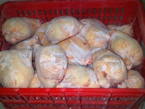 Daging Karkas Ayam Jawa Super