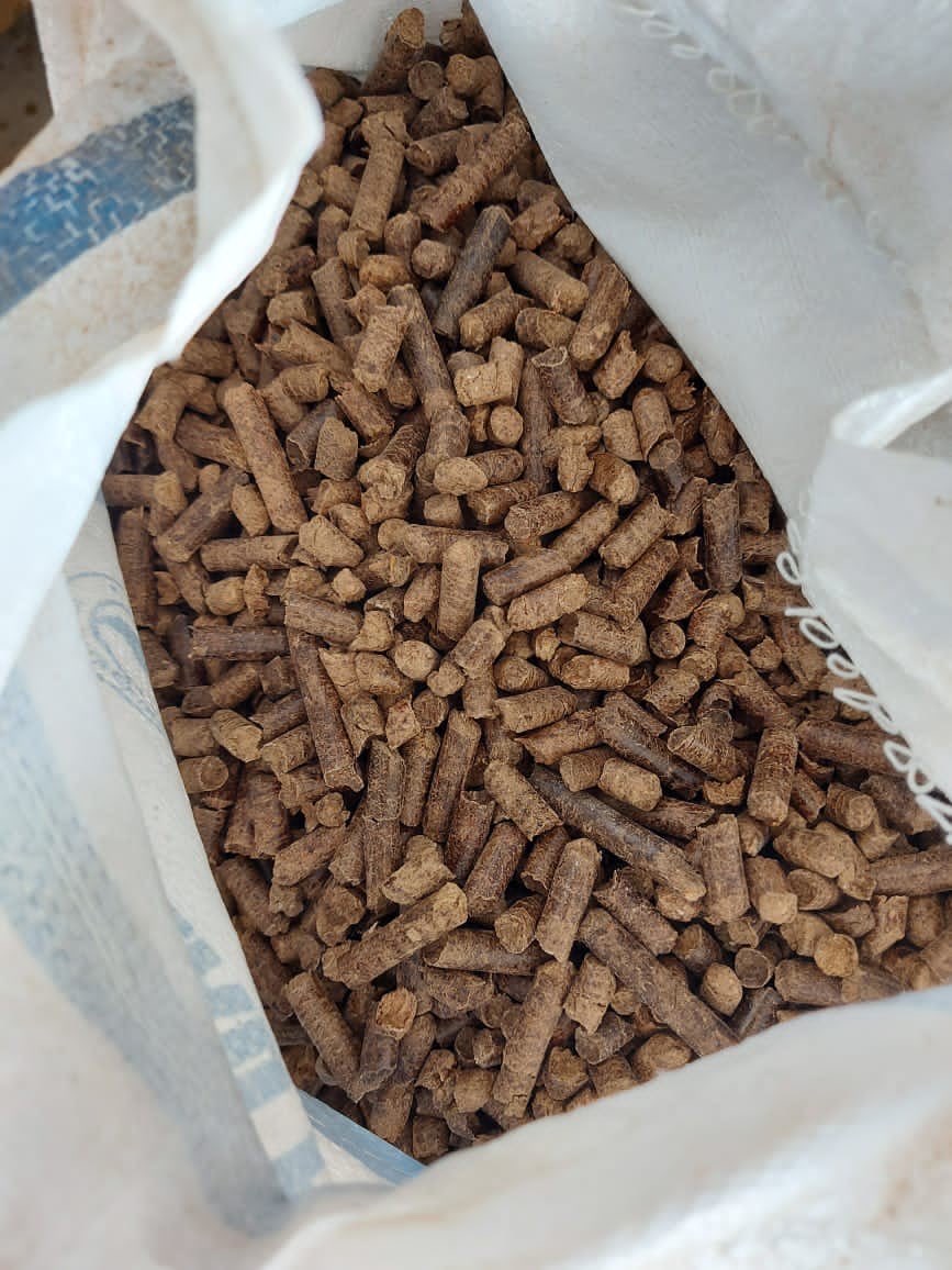 Wood Pellet atau Pelet Kayu