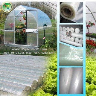 Plastik UV Hercules 14 Lokal