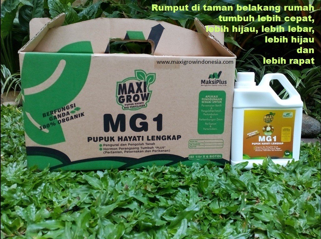 Pupuk Cair Hayati MaxiGrow MG1 