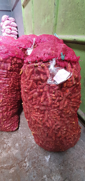 Diborong...diborong siap jual murah dan cepat kunyit dari petani langsung dan baru diambil dari kebun
