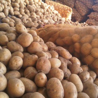 Waring Sayur Dengan Varian Warna ,Kuat serta Tahan Lama