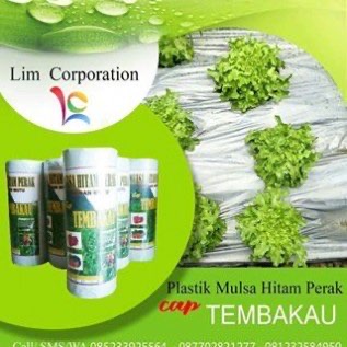 Plastik Mulsa Untuk Tanah Bedengan
