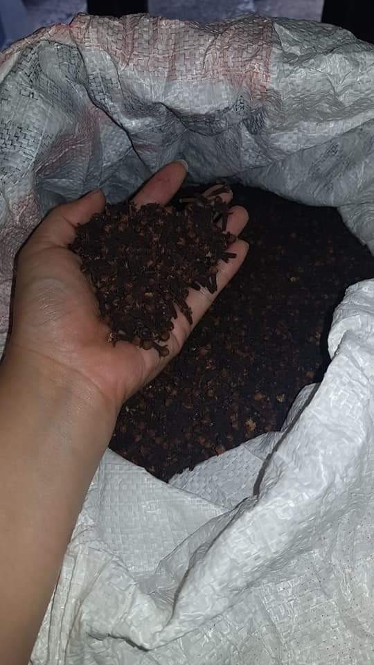 Cengkeh Kering Kualitas super
