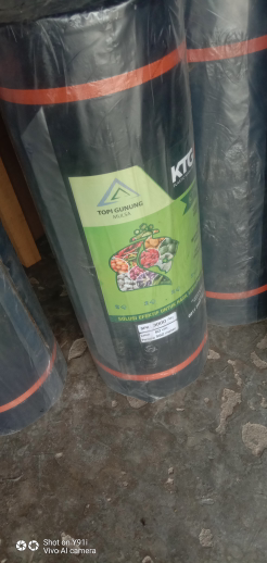 mulsa hitam perak KTG.