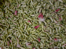 Cengkeh