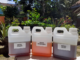 Madu asli dari pegunungan garut selatan