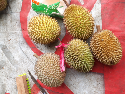 duren asli wonosalam