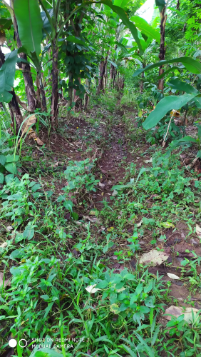 Jual tanah daerah sukabumi cibadak luas 825M