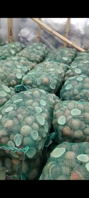 Sedia kopra edible hari ini stock 40 ton