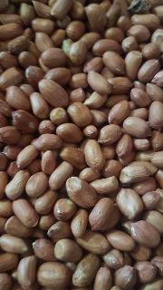 KACANG TANAH IMPORT