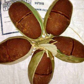 Gula Aren Murni Organik