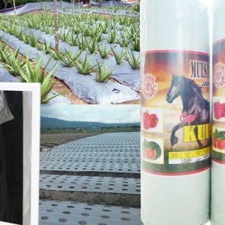Jual Mulsa Plastik Hitam Perak (merk KUDA)