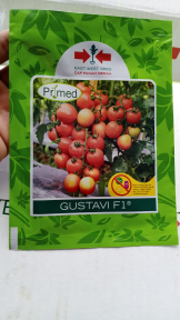 BENIH BIBIT TOMAT MERAH GUSTAVI 1750BUTIR