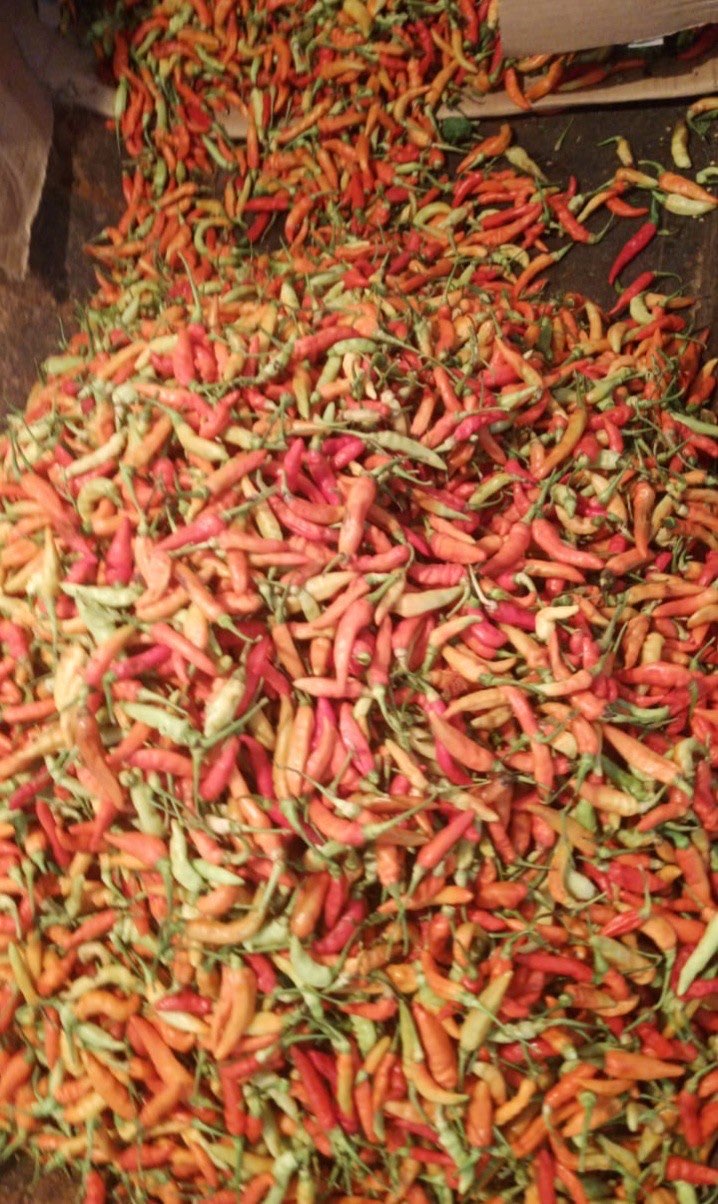 CABE RAWIT MERAH