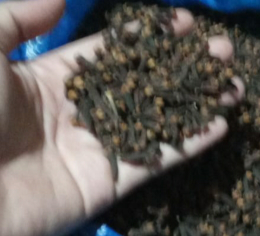jual cengkeh kering