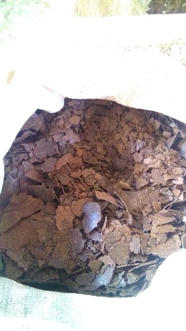 Bungkil Kelapa untuk pakan ternak