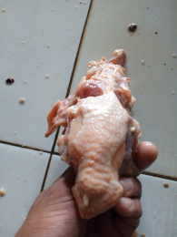 kerongkong ayam