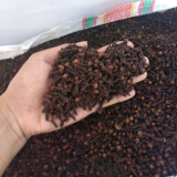 Cengkeh