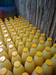 sari lemon murni