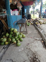 kelapa ijo/muda