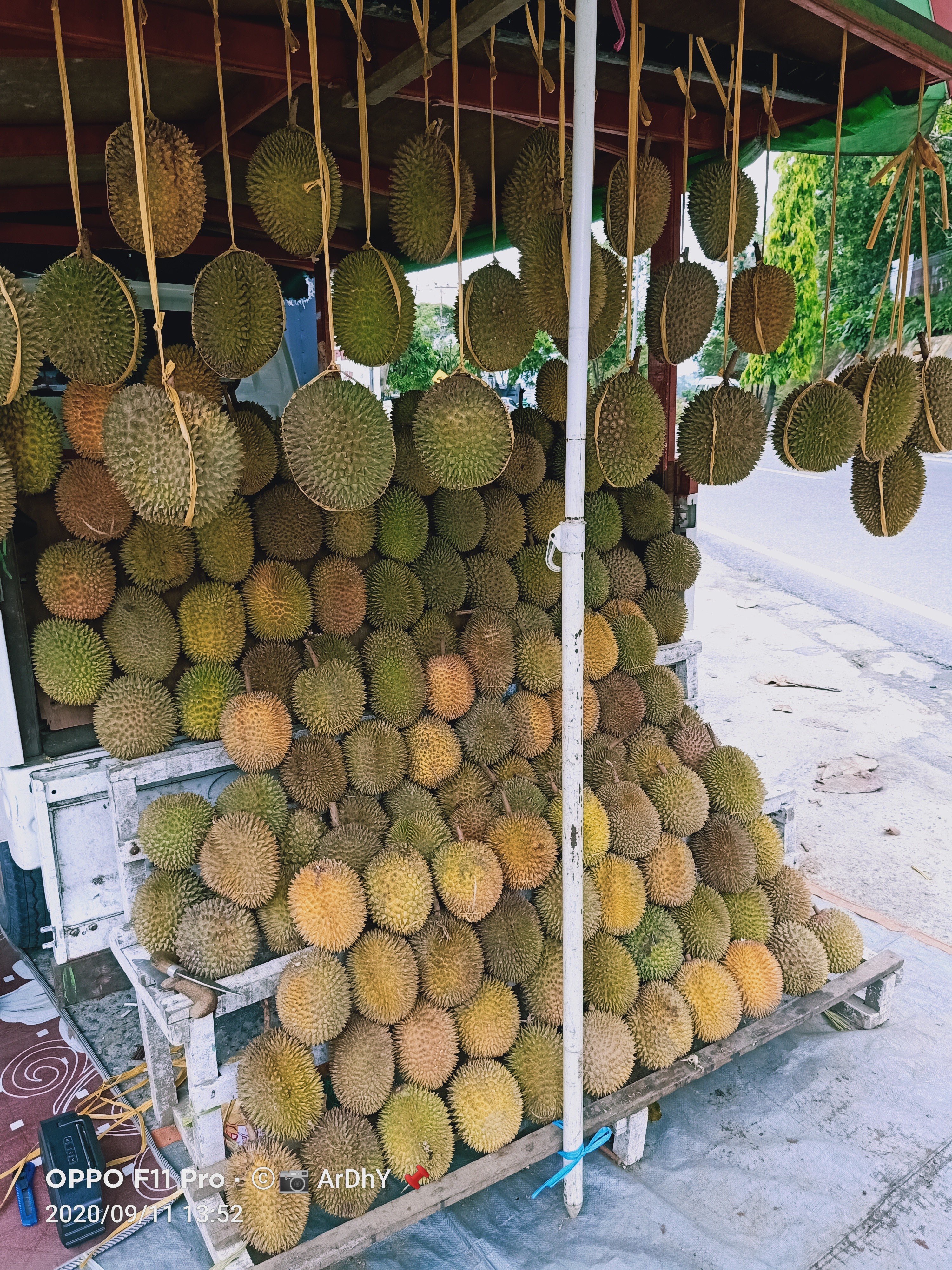 DURIAN MONTONG